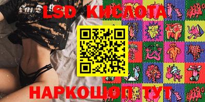 гидропоника Сланцы