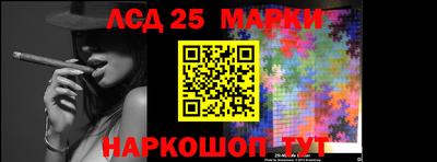 гидропоника Сланцы